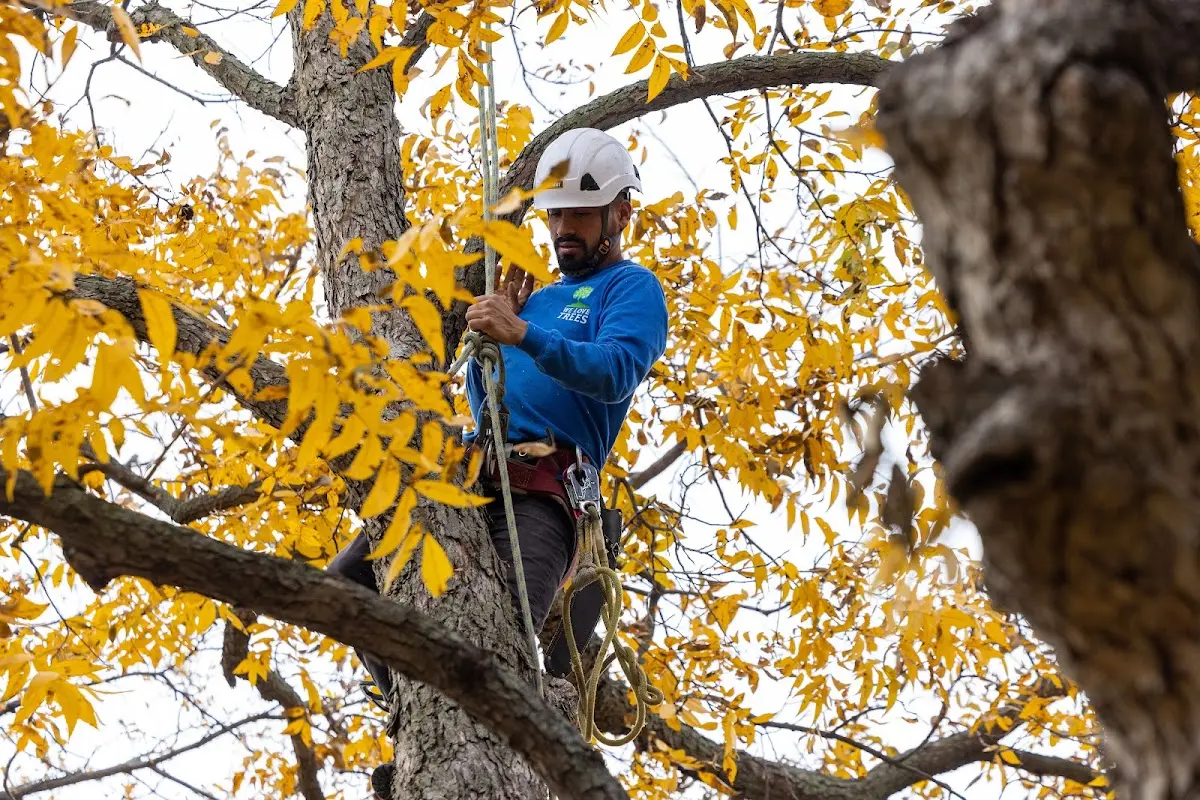Skilled Storm Damage Cleanup crew working in Christmas Valley